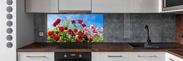 Cooker splashback Wild roses