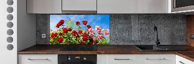 Cooker splashback Wild roses