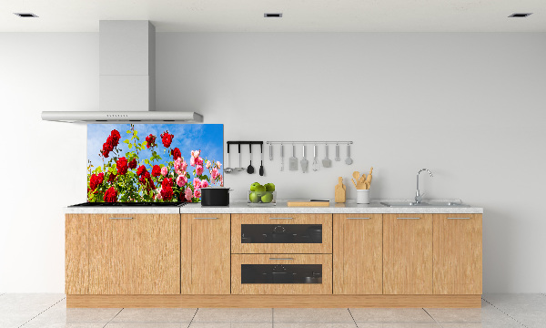 Cooker splashback Wild roses