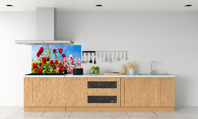 Cooker splashback Wild roses