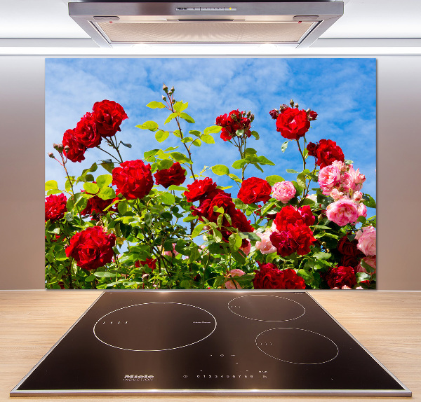 Cooker splashback Wild roses