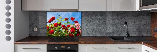 Cooker splashback Wild roses