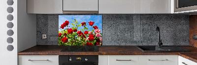 Cooker splashback Wild roses