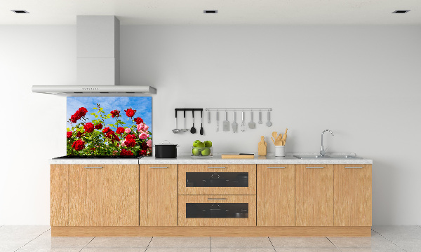 Cooker splashback Wild roses