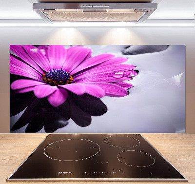 Hob splashback Gerber