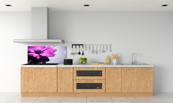 Hob splashback Gerber