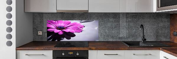 Hob splashback Gerber