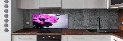 Hob splashback Gerber