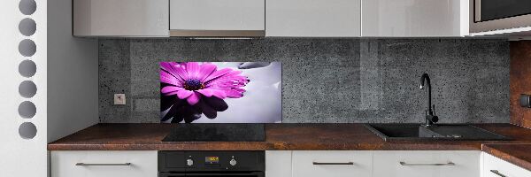 Hob splashback Gerber