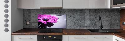 Hob splashback Gerber