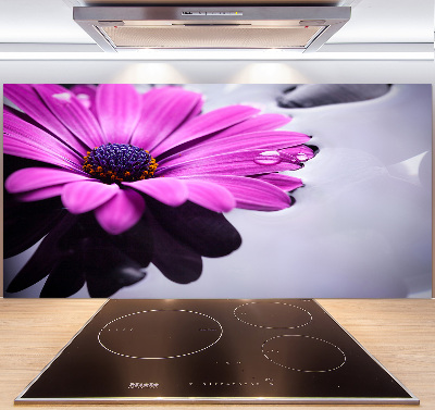 Hob splashback Gerber