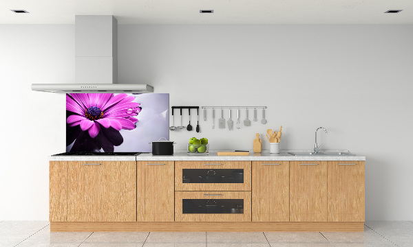 Hob splashback Gerber