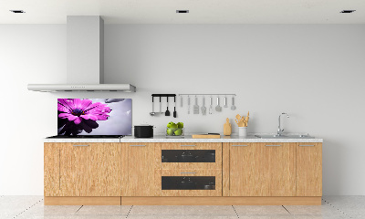 Hob splashback Gerber