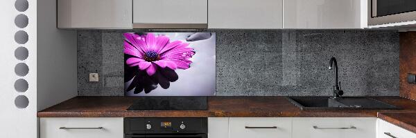 Hob splashback Gerber