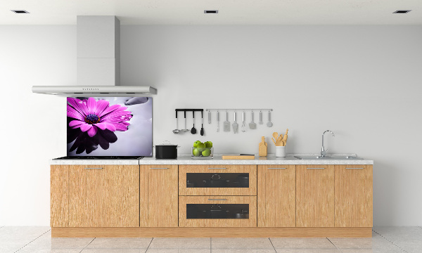 Hob splashback Gerber