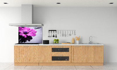 Hob splashback Gerber