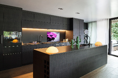 Hob splashback Gerber