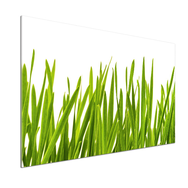 Splashback panel for kitchen Grass