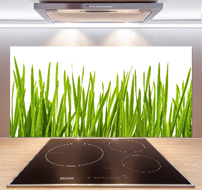 Splashback panel for kitchen Grass