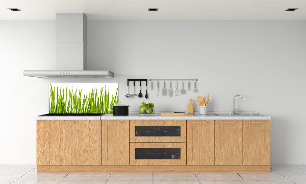 Splashback panel for kitchen Grass