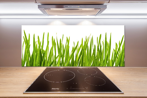 Splashback panel for kitchen Grass