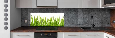 Splashback panel for kitchen Grass