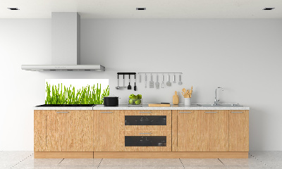 Splashback panel for kitchen Grass