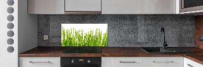 Splashback panel for kitchen Grass