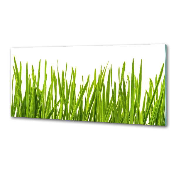 Splashback panel for kitchen Grass