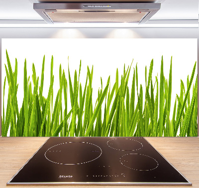 Splashback panel for kitchen Grass