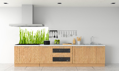 Splashback panel for kitchen Grass