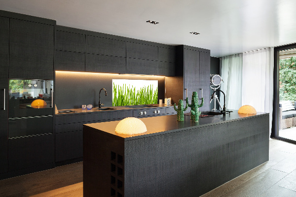 Splashback panel for kitchen Grass