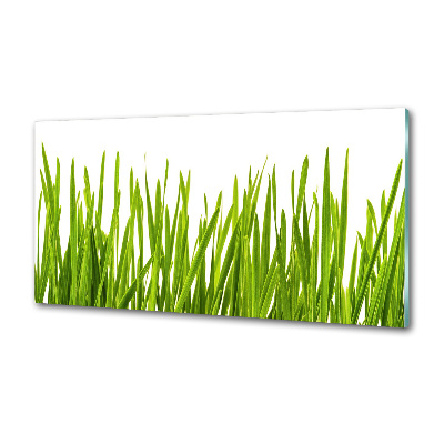 Splashback panel for kitchen Grass