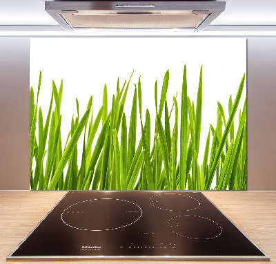 Splashback panel for kitchen Grass