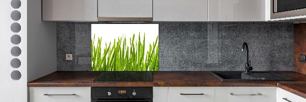 Splashback panel for kitchen Grass