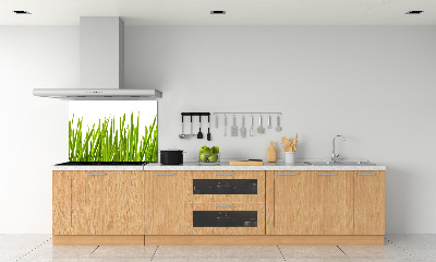 Splashback panel for kitchen Grass