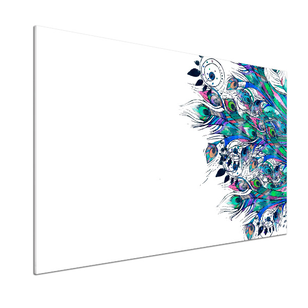 Glass splashback Peacock feathers