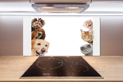 Cooker splashback Dogs and cats