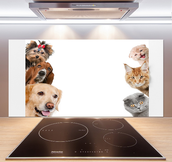 Cooker splashback Dogs and cats