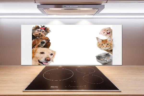 Cooker splashback Dogs and cats