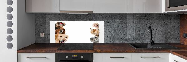 Cooker splashback Dogs and cats