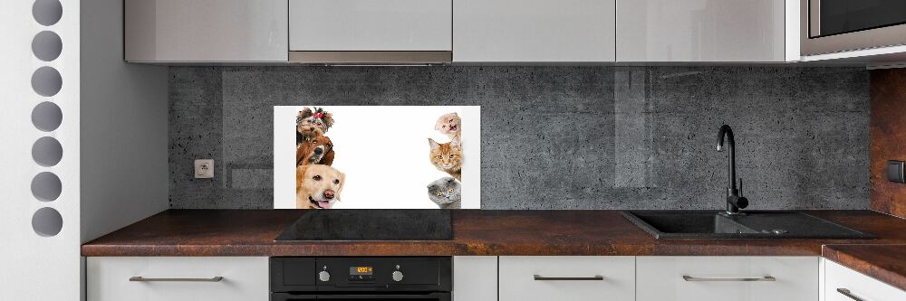 Cooker splashback Dogs and cats