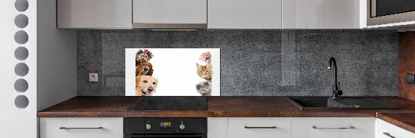 Cooker splashback Dogs and cats