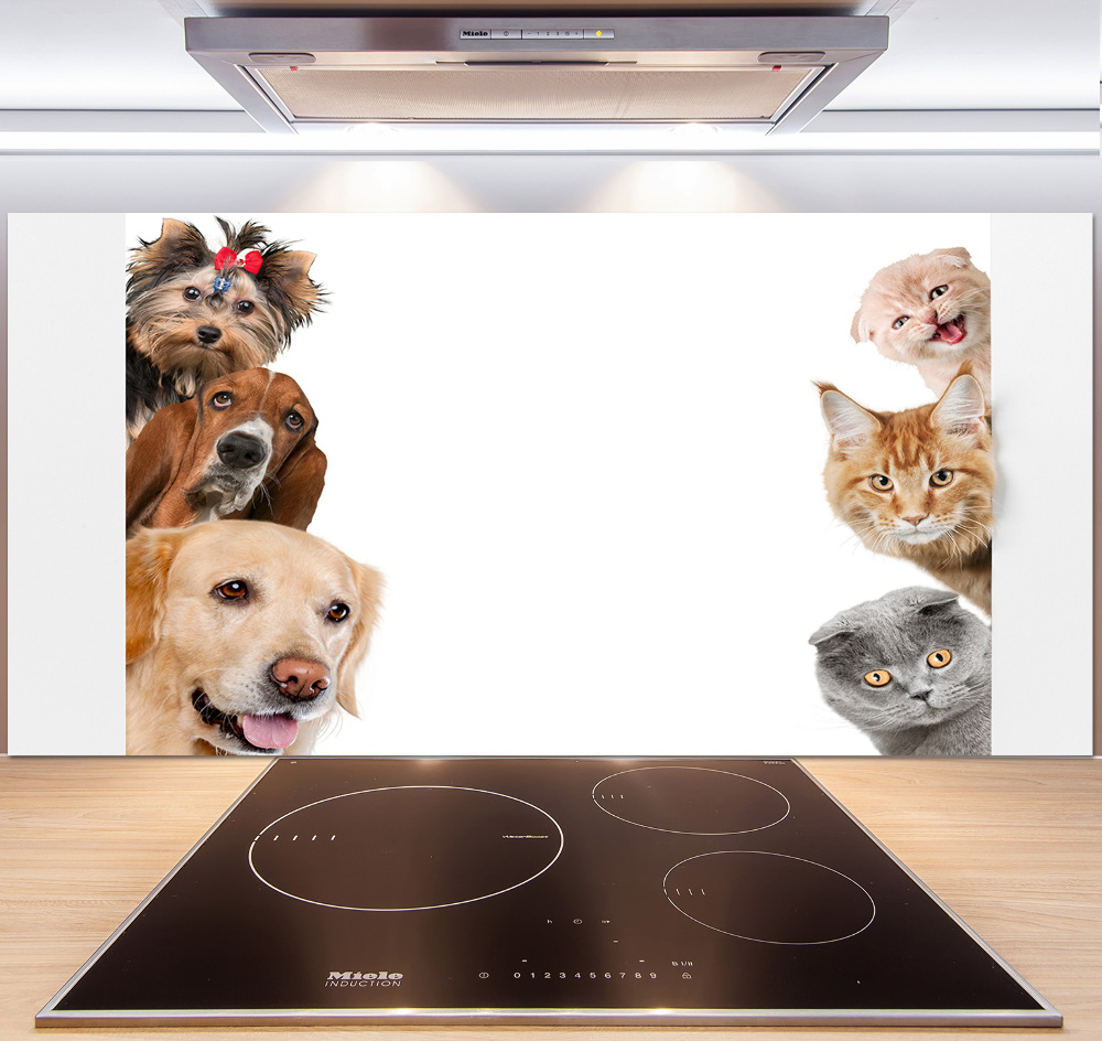 Cooker splashback Dogs and cats