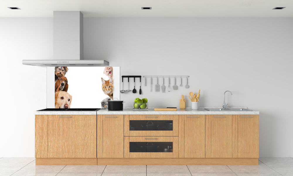 Cooker splashback Dogs and cats