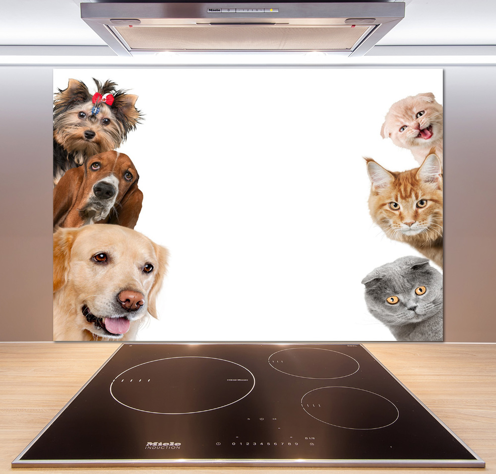 Cooker splashback Dogs and cats