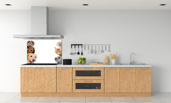 Cooker splashback Dogs and cats