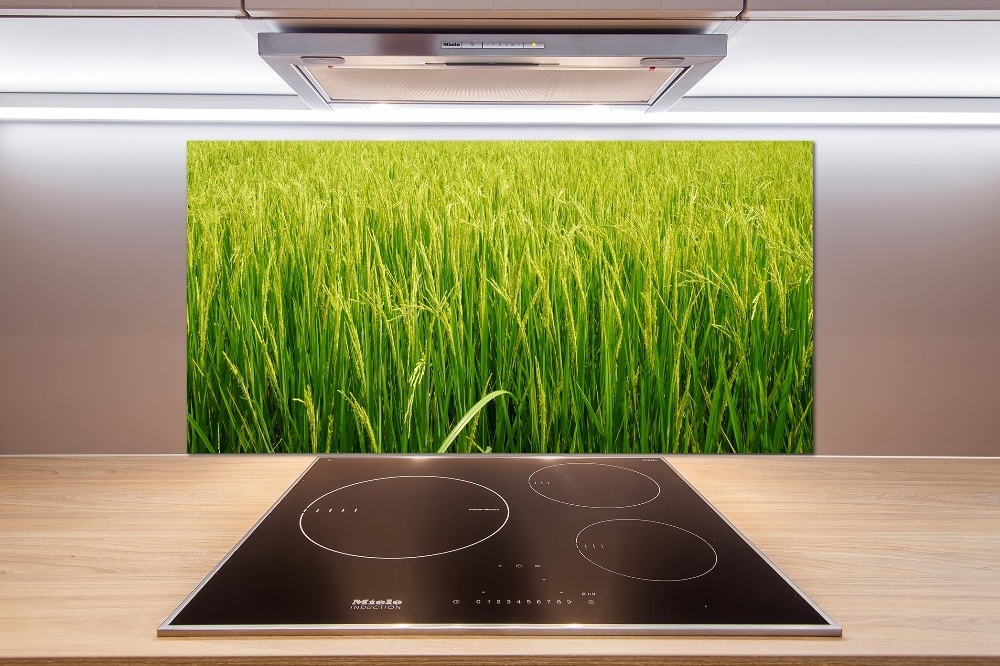 Splashback panel for kitchen Rice field