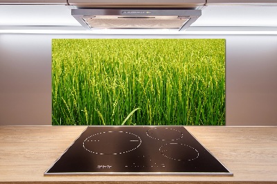 Splashback panel for kitchen Rice field