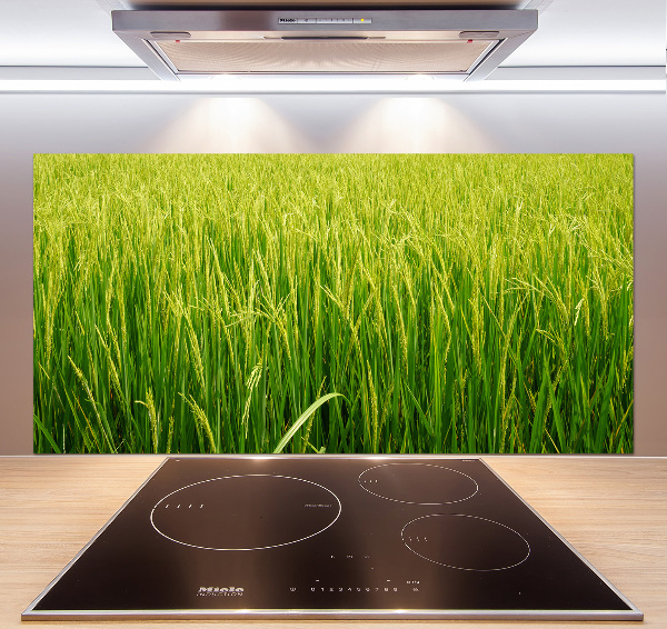 Splashback panel for kitchen Rice field